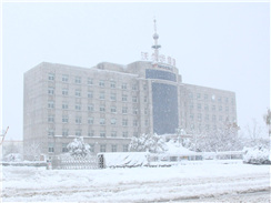 瑞雪兆豐年，踏雪沃爾華